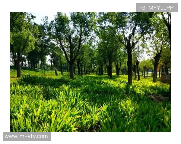 奥特古德温刻苦训练成效显著期待他未来更精彩的表现